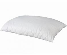 Castex Edredon gonflant 50% duvet-50% plumettes neufs 200x170 cm