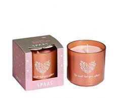 Spaas Bougie parfumÃ©e en Verre dans Une boÃ®te Cadeau Hiver Cire de Paraffine Blush Rose 76 mm