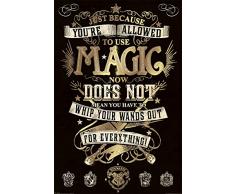 Wizarding World PP33920 Harry Potter (Magic) Maxi Poster, Bois Dense, Multicolore, 61 x 91,5 cm
