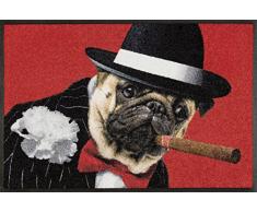 Wash+Dry Salvatore Tapis, Surface en Polyamide, Rouge, 50/75