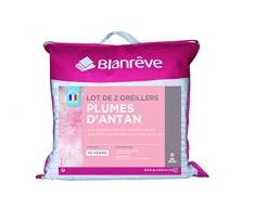 Blanrêve - Lot de 2 Oreillers DANTAN - NATURELS - Plume - mi ferme - 60x60 cm
