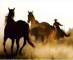 AG Design 4 Papier Peint IntissÃ©, Multicolore, 360 x 270 cm