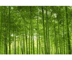 Scenolia Tableau dÃ©coratif Grand Format sur Toile Foret DE BAMBOUS 90 x 60 cm | Impression Haute qualitÃ©