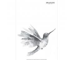 DRAEGER Sticker Mural Transfert Colibri 26x36cm