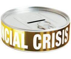 Doiy DYFINANCI Tirelire Financial Crisis Survival Kit Fer Blanc/Carton