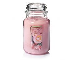 YANKEE CANDLE Grande Bougie en Pot 650 ML, Roses fraîchement coupées, Verre, Rose, L Jar Candle