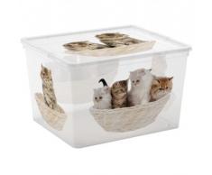 Kis 8419100 2055 01 Boîte de Rangement C Box Style Cube Puppy&Kitten 27 litres, Plastique, Multicolore, 40x34x25 cm