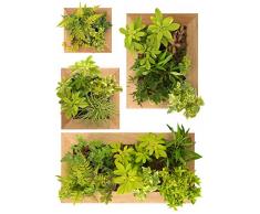 Plage 152706 Sticker Mural - Jardin Vertical, 1 Planche, 48 x 68 cm