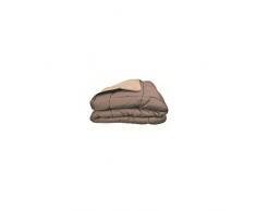 Couette bicolore Polyester Taupe/Lin 220 x 240 cm - POYET MOTTE - Gamme CALGARY