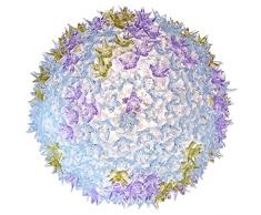 Kartell BLOOM Lampe, azur