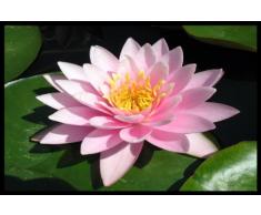 Digital Republic.com 40509 Paillasson Polyamide-PVC sans Phtalate