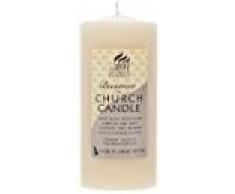 Shearer Candles Petite Bougie Pilier en Cire dabeille Parfum Miel Ivoire 15 x 7 cm