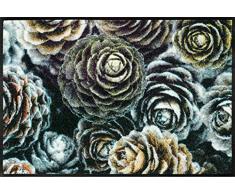 Wash+Dry Grau Tapis, Surface en Polyamide, Gris, 75/120