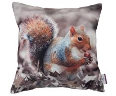 Tom Tailor 564264 Housse de Coussin Coton Nature 43 x 43 cm