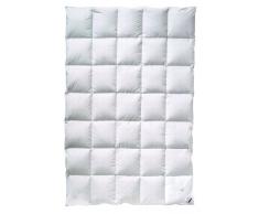 billerbeck Couette E07 Platinedition Mono 135 x 200 cm