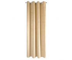 Eurofirany Pierre Rideau en Velours Ã Åillets Velvet, Cappuccino, 140X250cm