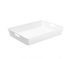 Rotho Living Boîte de Rangement Plat, Plastique, Blanc, 4,5L