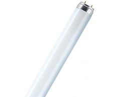 Osram L 36W/827 Ampoule