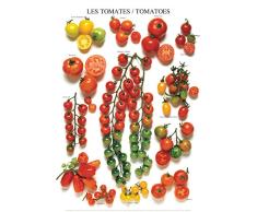 Affiche 40x50 cm Les tomates (variÃ©tÃ©s amÃ©ricaines) / Tomatoes (american varieties) / Tomaten (amerikanische Sorten) Roger PHILLIPS