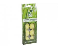 Roots n Shoots PMS Lot de 10 Bougies Chauffe-Plat Citronnelle en Couleur FenÃªtre