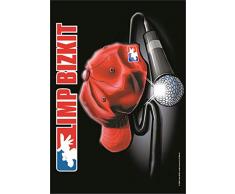 Limp Bizkit Poster Drapeau