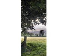 PeelitStickit id-0008Â 60Â Largeur x 130Â cm Hauteurâ¯: Belle Nature de Haute qualitÃ© en Vinyle Papier Peint Mural