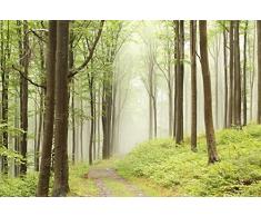 Scenolia Tapisserie Toile Textile Foret Mystérieuse et Brume 4 x 2,70m - Décoration Murale Effet Trompe lâOeil - Revêtement Panoramique Tapisserie XXL - Pose Facile et Qualité HD