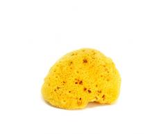 OKBABY Fine Dama Eponge Naturelle de La Mediterranée pour Le Bain du Nouveau-Né, Douceur ET Résistance