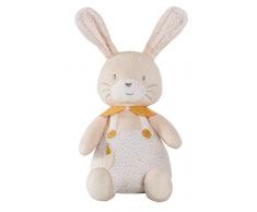 candide Boite à Musique