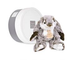 Histoire dOurs Peluche Lapin Marius 20 cm