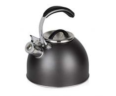 Morphy Richards 974757 Bouilloire sifflante en acier inoxydable titane