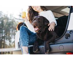 Sogni e Capricci COPRISEDILE-NERO-140x147cm Housse de siège Auto, 140x147cm, Noir