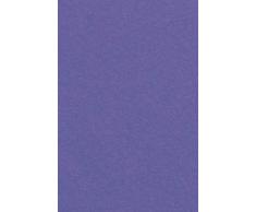 amscan International Nappe en Plastique Violet