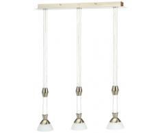 P.Neuhaus 2486-55 Lustre avec 3X4,5 W Led Acier Verre Opal Dépoli