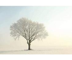 Scenolia Tableau dÃ©coratif Grand Format sur Toile CHÃNE Blanc 90 x 60 cm | Impression Haute qualitÃ©