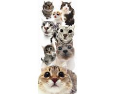 The Photo Album Company Stretch ImprimÃ© 20Â x 50Â Hanadeka Cats