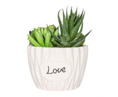 Aufora artificielles Plantes et Mousse en Blanc en Pot, Vert, 13