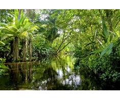 Scenolia Tapisserie Toile Textile Forêt et Rivière dans la Jungle Tropicale 4 x 2,70m - Décoration Murale Effet Trompe lâOeil - Revêtement Panoramique Poster XXL - Pose Facile et Qualité HD