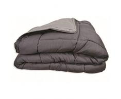 Couette bicolore Polyester Acier/Argent 200 x 200 cm - POYET MOTTE - Gamme CALGARY