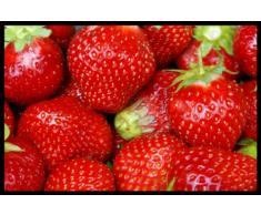 Digital Republic.com 40179 Paillasson Polyamide-PVC sans Phtalate