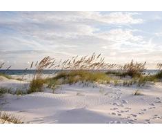 Scenolia Tableau Grand Format sur Toile Direction Ocean 130 x 90 cm | DÃ©coration Murale Tendance Actuelle, Fait en France