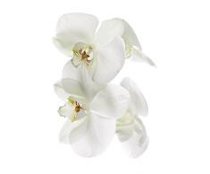 Scenolia Stickers géant papier peint déco ROAD SIGN 60 x 240 cm | Déco murale Qualité HD