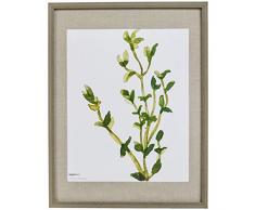 AmazonBasics Cadre photo mural style galerie, 48 x 64Â cm pour photo de 41 x 51Â cm, bois rustique (lot de 2)