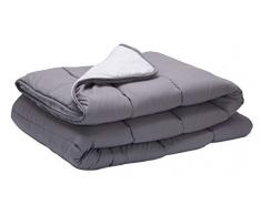 Pikolin Home - Couette en fibre hypoallergÃ©nique et rÃ©versible, automne/hiver, 300g/mÂ². 180x260cm Lit 100/105