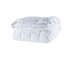 Penelope Bedroom UK Termolite Oreiller Anti-acariens et hypoallergénique, Blanc, 200x200