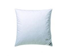 billerbeck Oreiller E04 Goldedition 30 040x060 cm