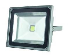Perel LEDA3005CW-G Projecteur LED dExtÃ©rieur Puce Epistar, Aluminium, 50 W, Multicolore