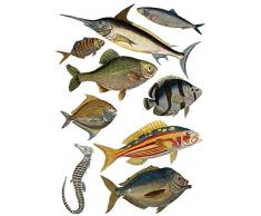 plage 152733 48 x 68 cm Décoration Sticker mural poissons, vinyle, multicolore, 68 x 0,1 x 47,7 cm