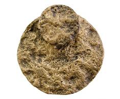 Trim & Tram DEC0063 C045 Luna Embrasse Magnétique en Résine Bronze