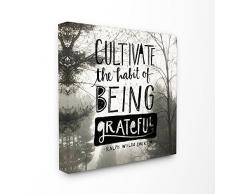 Stupell Industries de cultiver la Greatful par Temps Humide Paysage tendue sur Toile DÃ©coration Murale, Multicolore